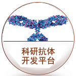 пƽ̨
