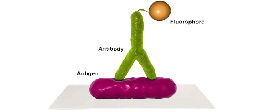 öܱ